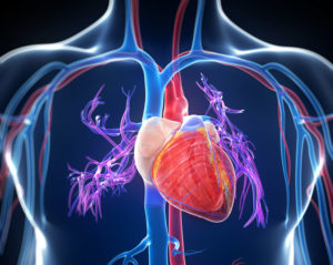 COVID-19 and Heart Disease
