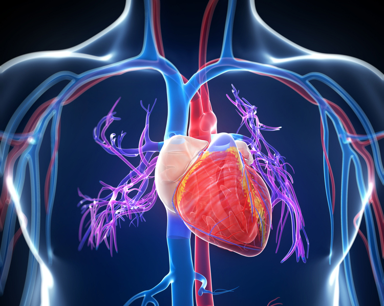 COVID-19 and Heart Disease