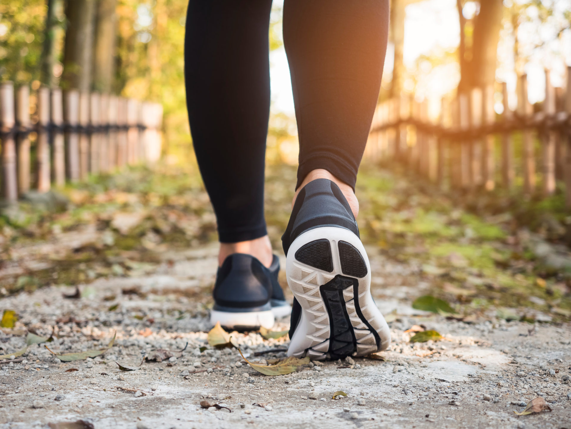 Woman legs walking Trail Outdoor Lifestyle Travel adventure