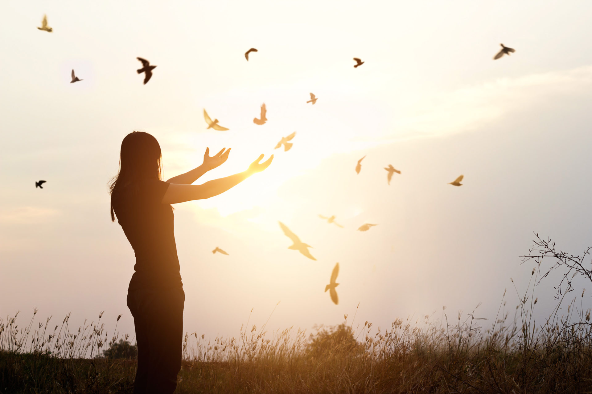 Freedom of life, free bird and woman enjoying nature on sunset background, freedom concept